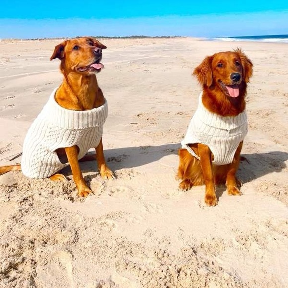 Boots & Barkley Dog or Cat Sweater Pet Apparel Beige Up to 20 lbs Size S Small - Picture 12 of 12